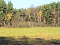 Rzut oka z drugą stronę na kolejną ambonę. Tutaj łąka wygląda znacznie lepiej.