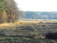 ... i znowu rzut oka na prawo. Miejsce w jesiennym słońcu wygląda naprawdę pięknie.