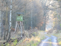 ... a za nią nad rowem kolejna porządna ambona.