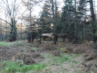 ... a nieco dalej na niewielkim pagórku paśnik przygotowany  na nadchodzącą zimę.