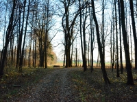 Wychodę na pola nad Pszczynką