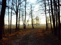 Słońce coraz niżej