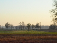 Wychodzę na łąki nad Pszczynką od strony Warszowic, gdzie często poluję na bażanty