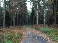 Ruszam w stronę samochodu