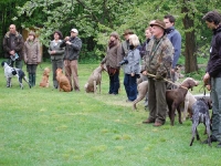 Zbiórka przed zawodami, na pierwszym planie Irek Kowalis z późniejszym zwycięscą grupy i drugim psem w zawodach Napoleonem