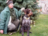 Prezentacja niemałych osiągnięć wystawowych.