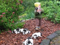 Szczeniaki LORY i ALANA - nareszcie poza kojcem ale jaki ten  świat jest wielki!