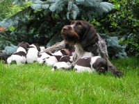 Jednak najlepiej jest pod czujnym okiem mamy.
