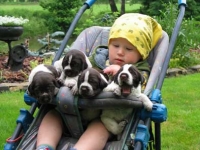 Człowiek z psem razem od zawsze.