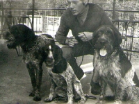 Konkursy wyżłów początek lat 70-tych. Na zdjęciu ja z Bimem oraz Azą płk. Stepaniaka z Bytomia.  Aza była przepiękną suką, która w tamtym czasie była dla mnie wzorem eksterieru wyżła szorstkowłosego.