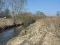 Wąska w tym miejscu dolina rzeki Pszczynki, wspaniałe siedlisko dla bażanta.