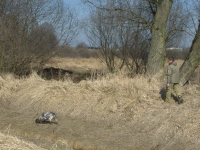 Faza z właścicielem nad rzeką