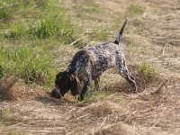 Czyżby początek drogi do wszechstronności?