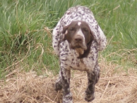 Mina jak u rekordzisty świata na 100 m