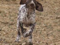 Mina jak u rekordzisty świata na 100 m