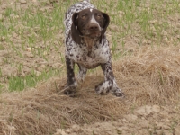 Mina jak u rekordzisty świata na 100 m