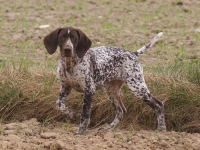 Jest we mnie też trochę przekory