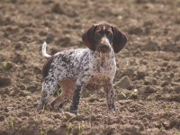 W terenie jestem bardzo skupiona