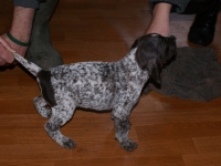 Właśnie zapada decyzja o mojej przyszłości