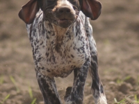 W biegu idę na całego