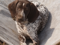 Nabroić trochę czy nie?