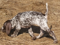 W terenie od początku z pełnym zaangażowaniem