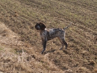 ... ale przecież nad nią pracuję systematycznie