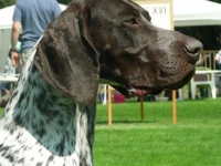 Czyż nie jestem piękny?