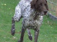 Utz - prezentacja w ruchu