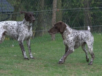 Flora i Utz - zaloty