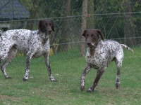 Flora i Utz - zaloty