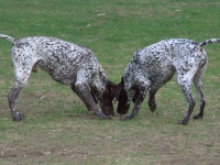 Zastanówmy się czy już czas?