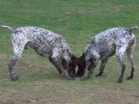 Zastanówmy się czy już czas?