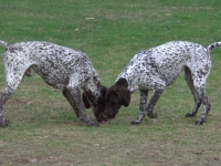 Zastanówmy się czy już czas?