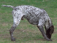 Zastanówmy się czy już czas?