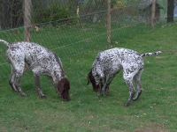 Zastanówmy się czy już czas?