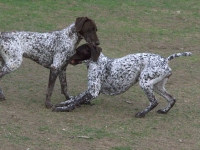 Nie ma co zwlekać, bierzmy się do roboty
