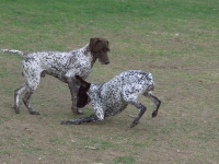 Nie ma co zwlekać, bierzmy się do roboty