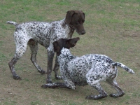 Nie ma co zwlekać, bierzmy się do roboty