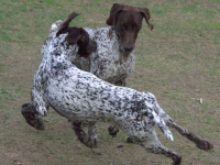 Jak trzeba to i grawitacja nie ma znaczenia