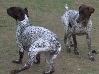 ... ale nie tak od razu żeby nikt nie pomyślał, że to jest takie proste