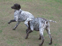 ... ale nie tak od razu żeby nikt nie pomyślał, że to jest takie proste