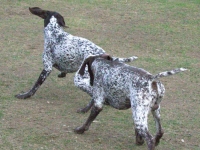 dsc_3474... ale nie tak od razu żeby nikt nie pomyślał, że to jest takie proste