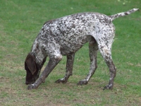 Czy aby na pewno jest ten czas?