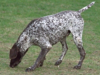 Czy aby na pewno jest ten czas?