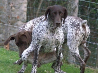 Sprawdźmy jeszcze raz