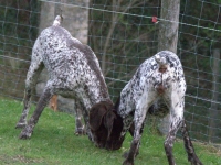 Sprawdźmy jeszcze raz