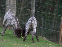 Sprawdźmy jeszcze raz