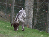 Sam też się upewnię