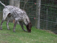 Sam też się upewnię